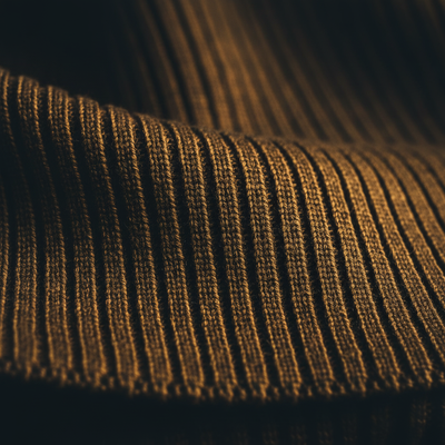 Rib